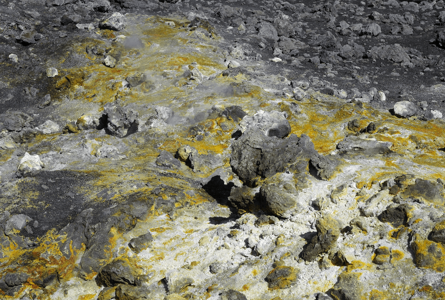 header_image
